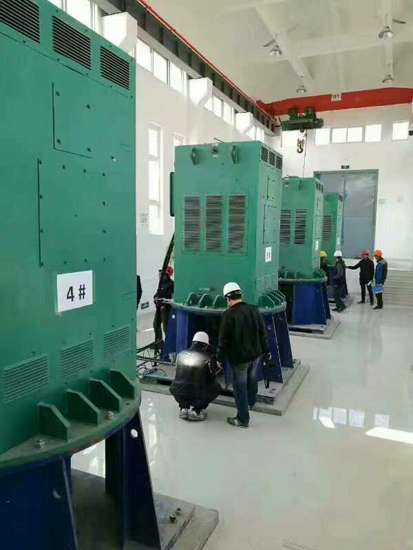 中堂镇某污水处理厂使用我厂的立式高压电机安装现场